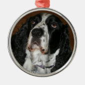 Engelstalige speciale foto van Springer Spaniel Metalen Ornament (Voorkant)