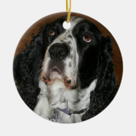 Engelstalige speciale foto van Springer Spaniel Metalen Ornament