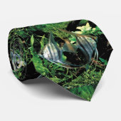 engelvis 2 stropdas (Opgerold)