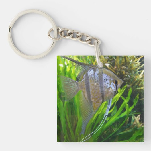 Engelvis Sleutelhanger (Voorkant)
