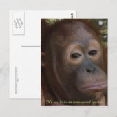 Engevaarlijk Species of Wildlife Orangutan Briefkaart (Voorkant / Achterkant)