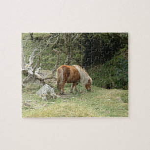 England & Dartmoor Ponny, Wild Horses/Groot-Britta Legpuzzel