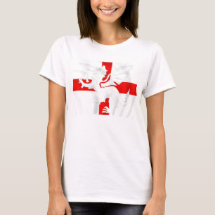 ENGLAND PRIDE T-SHIRT