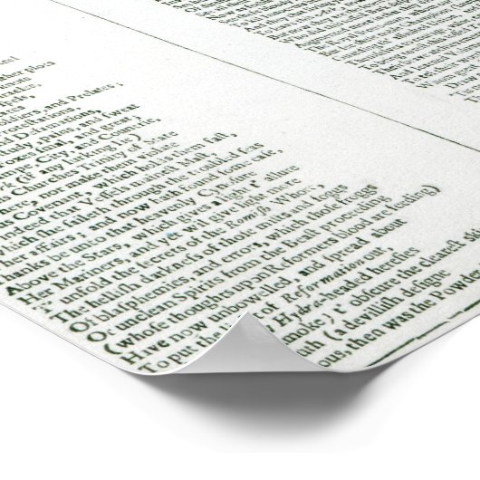 Englands Miraculous PConservation Poster (Hoek)