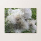 English Angora Rabbit "Bradley" Legpuzzel (Horizontaal)