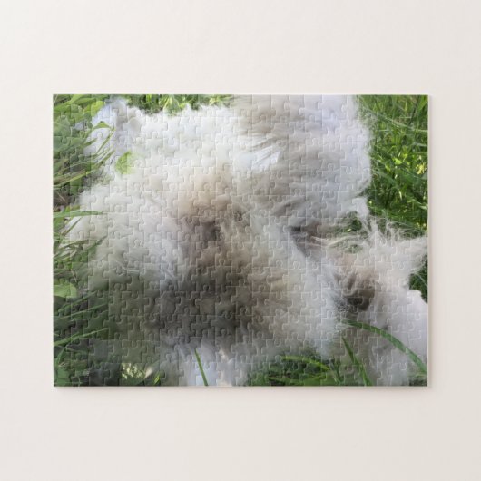 English Angora Rabbit "Bradley" Legpuzzel (Horizontaal)