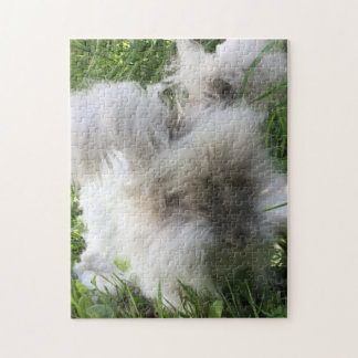 English Angora Rabbit "Bradley" Legpuzzel
