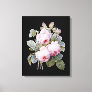 English Bourbon Rozen Bouquet op Black by Redoute Canvas Afdruk