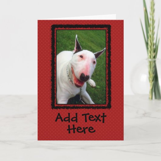 English Bull Terrier Custom Greeting Card Kaart (Voorkant)