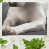 ENGLiSH BuLL TERRiER Theedoek (Gevouwen)