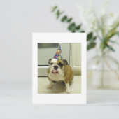 English Bulldog Birthday Briefkaart (Staand voorkant)