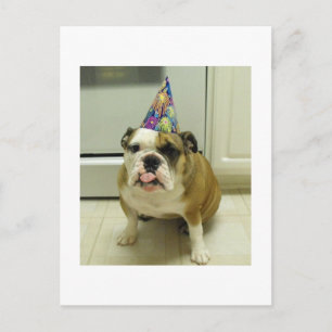 English Bulldog Birthday Briefkaart