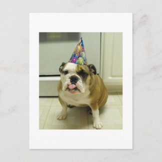 English Bulldog Birthday Briefkaart