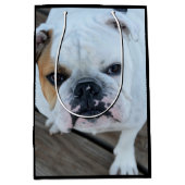 English Bulldog Dog gift Medium Cadeauzakje (Voorkant)