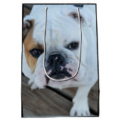 English Bulldog Dog gift Medium Cadeauzakje (Achterkant)