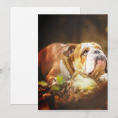 English Bulldog Forest Foto Feestdagenkaart (Voorkant / Achterkant)