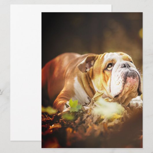 English Bulldog Forest Foto Menu (Voorkant / Achterkant)
