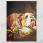 English Bulldog Forest Foto Menu (Voorkant)