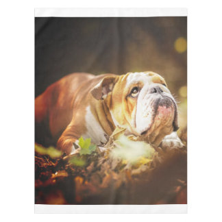 English Bulldog Forest Foto Tafelkleed