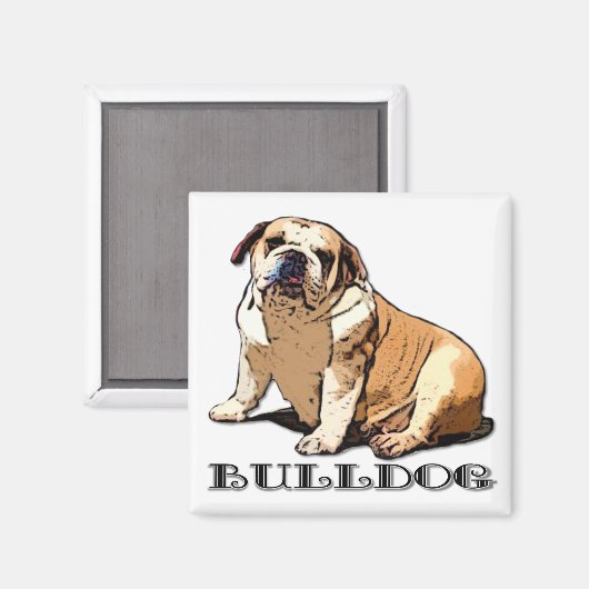 English Bulldog magnet (Voorkant / Achterkant)