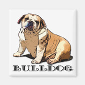 English Bulldog magnet (Voorkant)