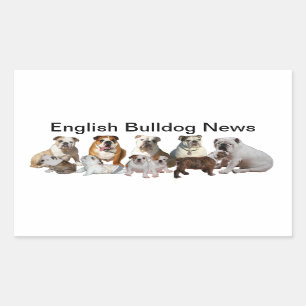 English Bulldog Nieuws Rechthoekige Sticker