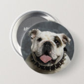 English Bulldog Portrait Photo Round Button (Voorkant /achterkant)