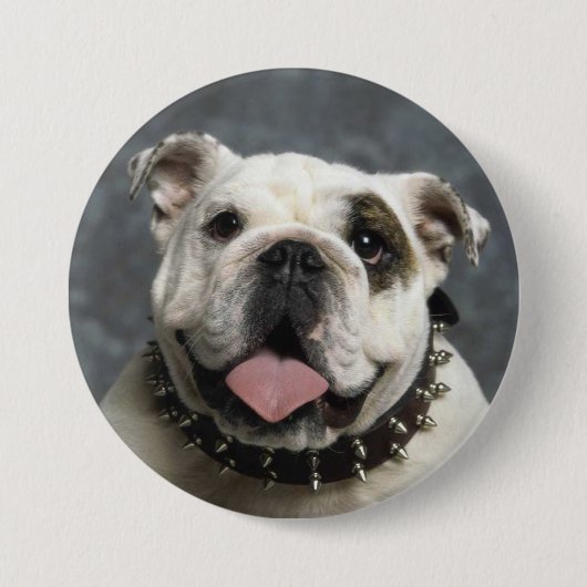 English Bulldog Portrait Photo Round Button (Voorkant)