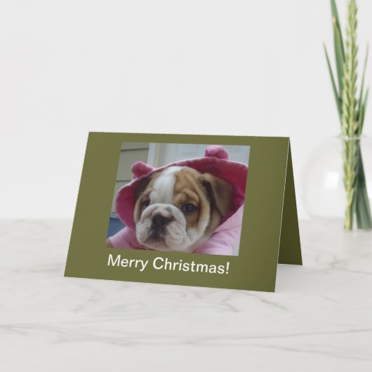 English Bulldog Puppy Christmas Cards Feestdagen Kaart (Voorkant)