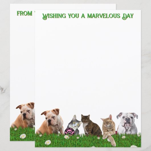 English Bulldogs and Cats Stationery (Voorkant / Achterkant)