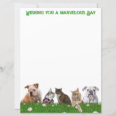 English Bulldogs and Cats Stationery (Voorkant)