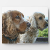 English Cocker Spaniel Plaque Fotoplaat (Voorkant)