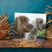 English Cocker Spaniel Plaque Fotoplaat (Zijkant)