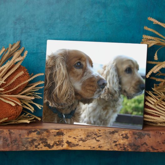 English Cocker Spaniel Plaque Fotoplaat (Zijkant)