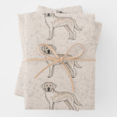 English Cream Labrador Retriever Lab Hondenpatroon Inpakpapier Vel (In situ)