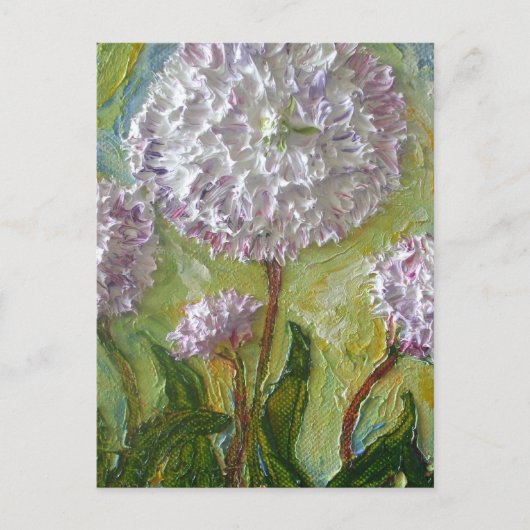 English Daisy Briefkaart (Voorkant)
