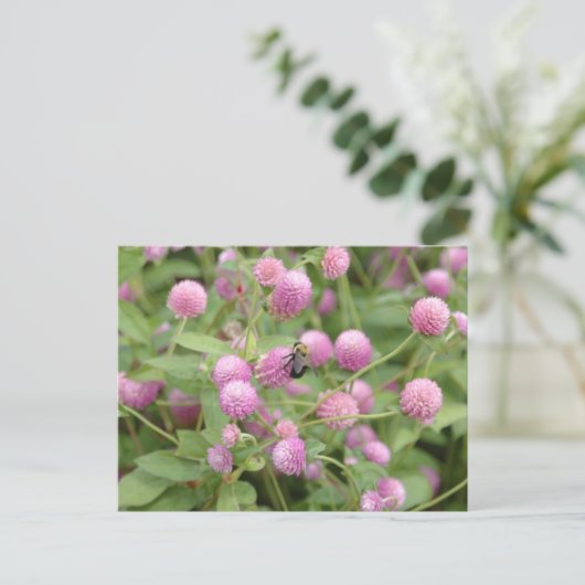 English Daisy Flower Briefkaart (Staand voorkant)