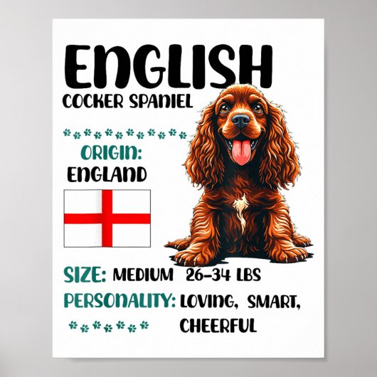 English Er Spaniel Origin Funny Er Spaniel Lover  Poster (Voorkant)