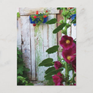 English Garden Hollyhocks en Flowers Briefkaart
