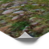 English Garden Hollyhocks en Flowers Poster (Hoek)