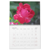 English Garden Rozen Calendar Kalender (Jan 2027)