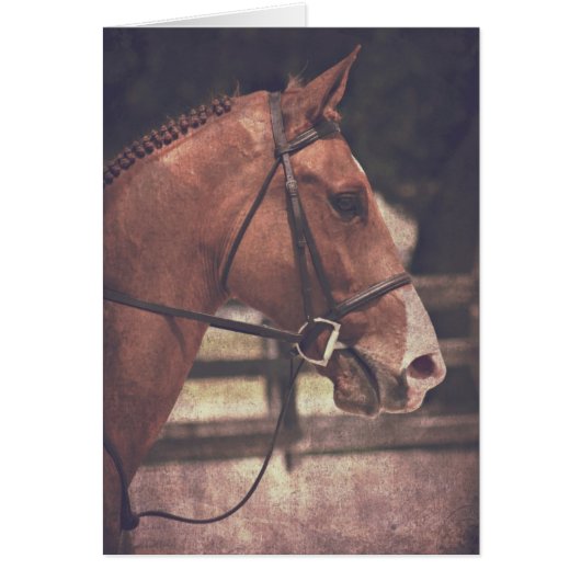 English Horse (Voorkant)