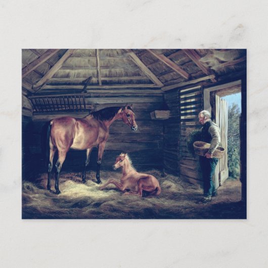 English Mare with her Foals, 1833 Briefkaart (Voorkant)