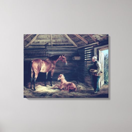 English Mare with her Foals, 1833 Canvas Afdruk (Voorkant)