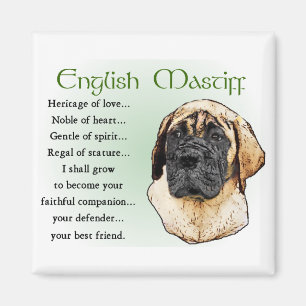 English Mastiff Art Gifts Magneet