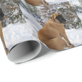 English Mastiff dog "Snow Pose" foto Cadeaupapier (Rol Hoek)
