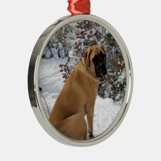 English Mastiff dog "Snow Pose" foto Metalen Ornament (Rechts)