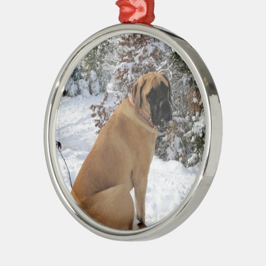 English Mastiff dog "Snow Pose" foto Metalen Ornament (Links)