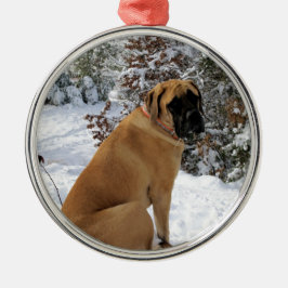 English Mastiff dog "Snow Pose" foto Metalen Ornament
