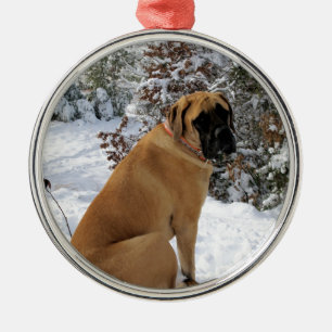 English Mastiff dog "Snow Pose" foto Metalen Ornament